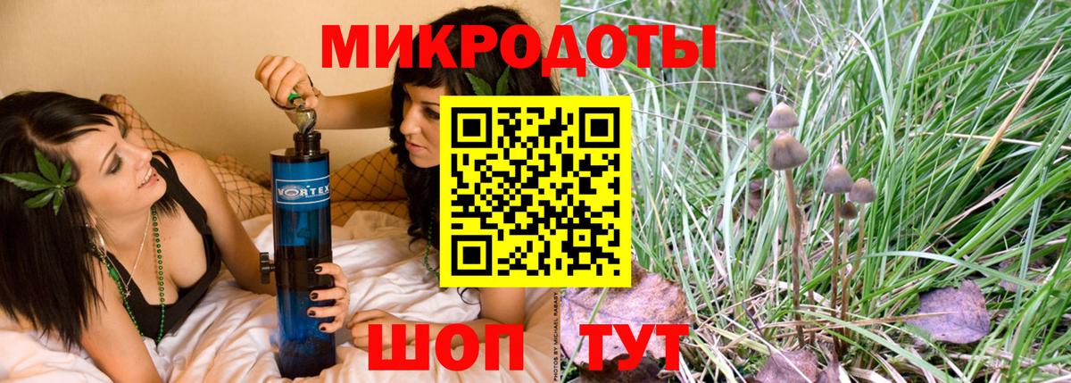 Псилоцибиновые грибы Psilocybine cubensis Лянтор